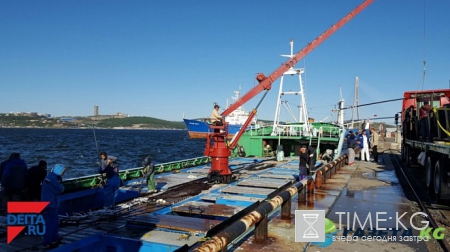 Пароходами Приморья будет заведовать новый начальник