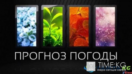 Погода в Москве на неделю с 5 по 11 июня 2017 от Гидрометцентра, какие прогнозы дают синоптики