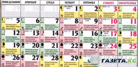 Посадочные дни в июне 2017: лунный посевной календарь огородника и садовода на июнь 2017 года