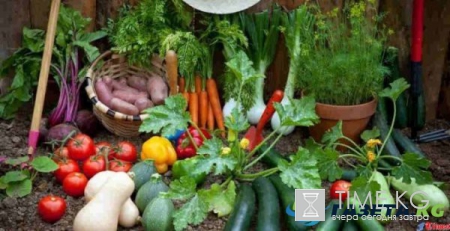 Посадочные дни в июне 2017, рекомендации на каждый день: Советы Луны огороднику на каждый день