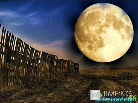 Посевной календарь на октябрь 2017 года