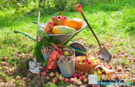 Посевной календарь на октябрь 2017 года