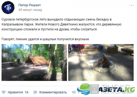 Шел третий день лета: В Петербурге местные жители сожгли беседку в парке, чтобы согреться