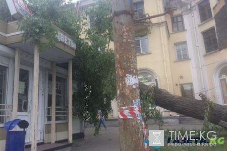 Стихия разгулялась не на шутку: В Челябинске на пенсионерку упал строительный забор