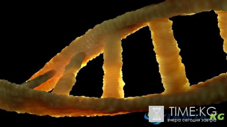 Ученые впервые составили самую подробную карту ДНК человека