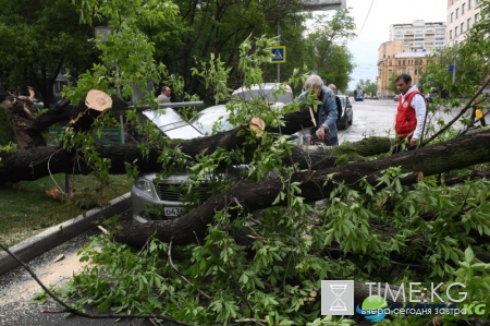 Ураган в Москве. Недавние события