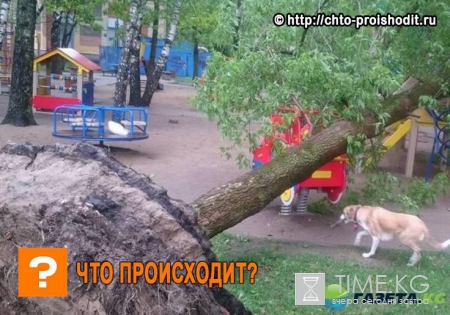 Ураган в Москве сейчас 29 мая 2017: видео, фото очевидцев природной стихии