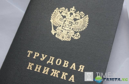 В Екатеринбурге пенсионеру не учитывали стаж из-за цвета чернил в трудовой книжке
