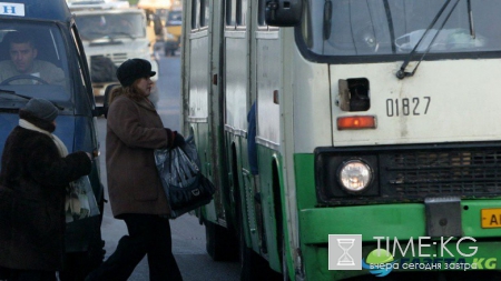 В Красноярске нелегальным водителям запретят работать на транспорте