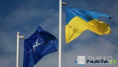 В Кремле прокомментировали стремление Украины вступить в НАТО