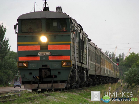 В Курганской области поезд переехал пенсионерку