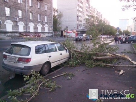 В Новосибирске весь день устраняют последствия урагана