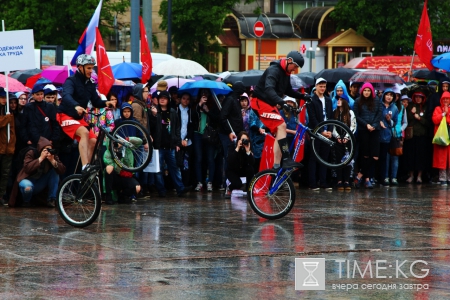 В Петербурге стартовало «Трудовое лето»