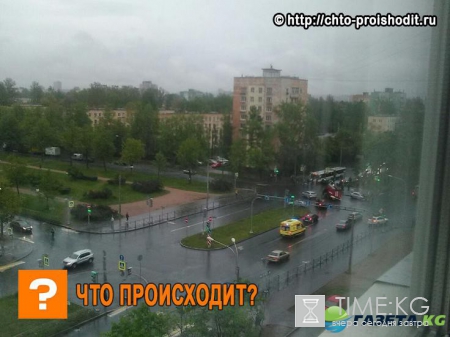 В Санкт-Петербурге -транспортный коллапс из-за массового ДТП: очевидцы выложили фото в сеть