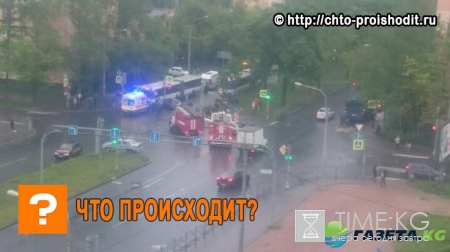 В Санкт-Петербурге -транспортный коллапс из-за массового ДТП: очевидцы выложили фото в сеть