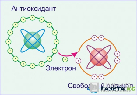 Влияние антиоксидантов