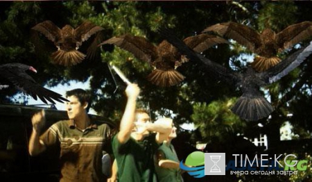 Всплывший Титаник и "Бэтсоски": Худшие фильмы в истории кино