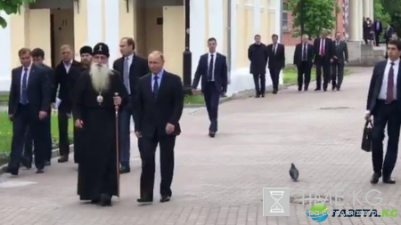 «Встреча» Путина с голубем стала мемом