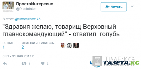 «Встреча» Путина с голубем стала мемом