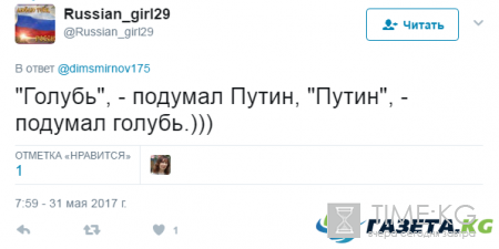 «Встреча» Путина с голубем стала мемом