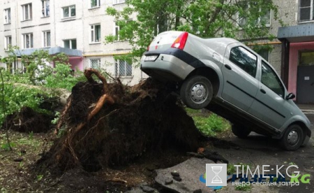 Выплаты и компенсации пострадавшим от урагана в Москве: как получить выплату, размер компенсации