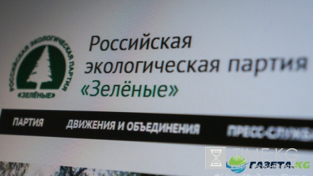 "Зеленые" выдвинули Киселева на пост свердловского губернатора