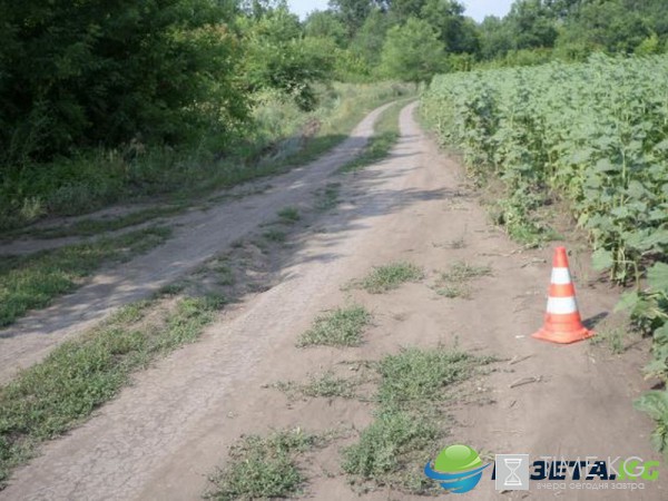 В Нижегородской области водитель Lada Samara сбил оскорбившего велосипедиста-подростка