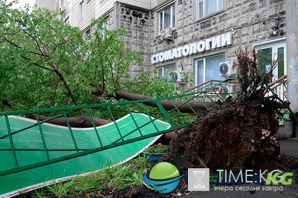 В Подмосковье возбуждено уголовное дело в связи с гибелью ребенка от урагана