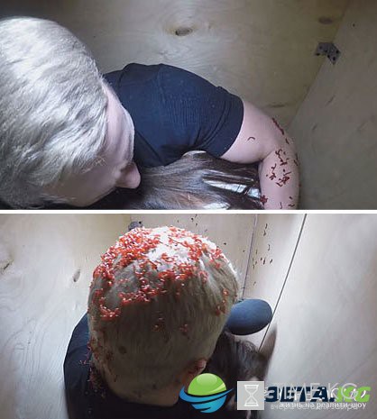 Ведущие «Дома 2» шокировали своей инициативой