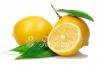 Вкусный рецепт варенья из одуванчиков, с лимоном: в чем польза, из чего и как приготовить, рецепт с фото, пошагово? Вкусный рецепт варенья из одуванчиков, с лимоном: в чем польза, из чего и как приготовить, рецепт с фото, пошагово?