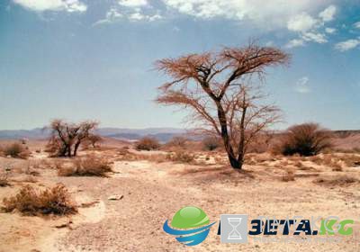 Загадочная "зона молчания" в Мексике. Фото