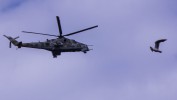 День ВМФ-2017 в Петербурге: программа праздника от ИА «Ньюс»