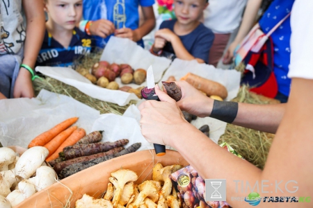 Даша Малахова открыла кулинарное пространство и pop-up музей