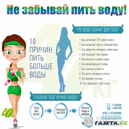 Диета для ленивых: минус 12 кг за 2 недели, отзывы, меню на каждый день, сколько пить воды
