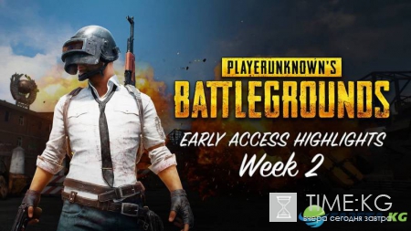 Игру PlayerUnknown's Battlegrounds одновременно проходили более 239 167 игроков