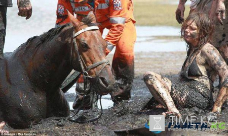 История из жизни: женщина в течение трех часов спасала от гибели лошадь