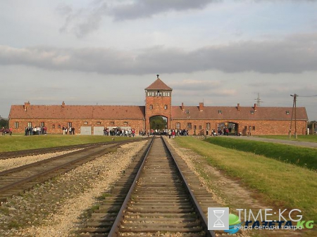 Израильтянка украла из музея Освенцима экспонаты ради своего проекта