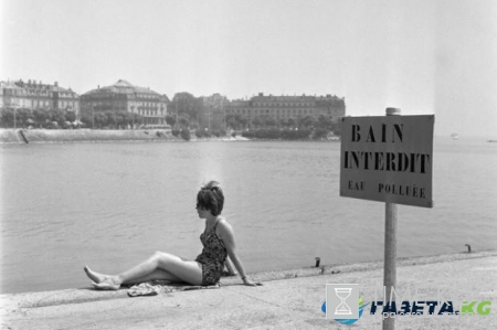 Как Швейцарии удалось очистить свои водоемы