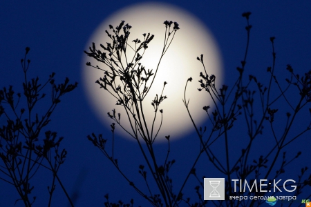 Лунный календарь на июль 2017 года: фазы луны, благоприятные дни, растущая луна, влияние луны на человека