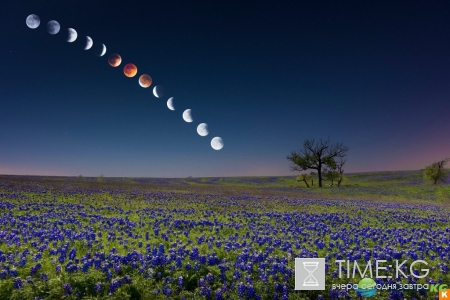 Лунный календарь на июль 2017 года: фазы луны, благоприятные дни, растущая луна, влияние луны на человека