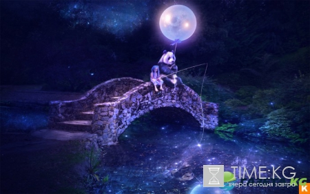 Лунный календарь на июль 2017 года: фазы луны, благоприятные дни, растущая луна, влияние луны на человека