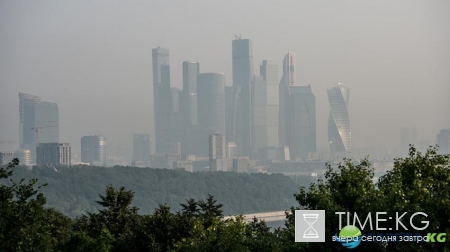 МЧС: густой туман появится в Московской области