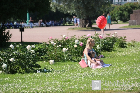 На Марсовом поле в Петербурге зацвели пионы