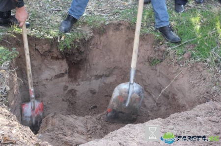 На одной из дач в Новосибирске откопали труп