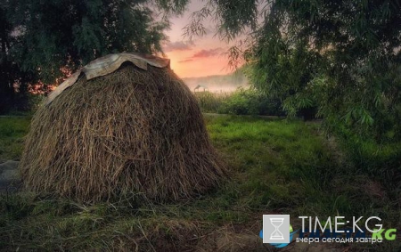 Народные приметы 10 июля