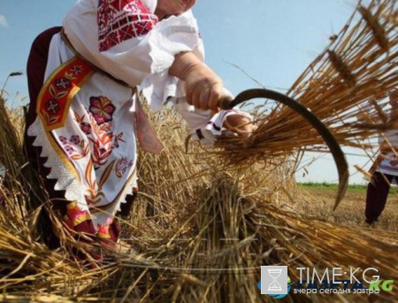 Народные приметы: 20 июля