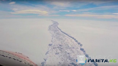 Огромный айсберг откололся от Антарктиды: самый большой ледник века
