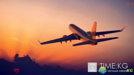 Пассажира рейса из Москвы в Барселону избили за оскорбление "русских" людей