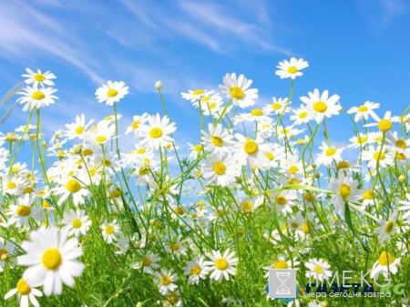 Погода: июнь 2017-го оказался самым жарким за 137 лет