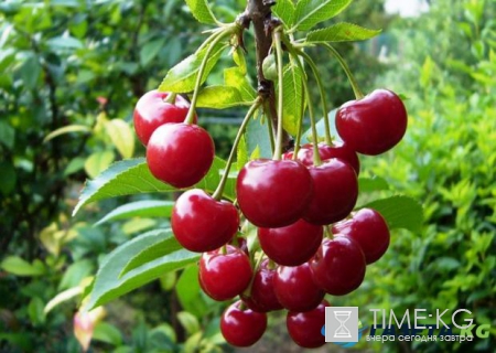 Самые полезные продукты питания для здорового сна